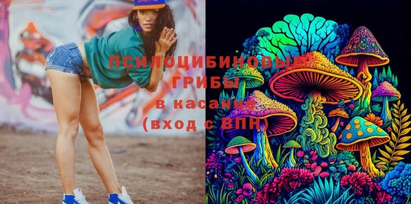 apvp Лабытнанги